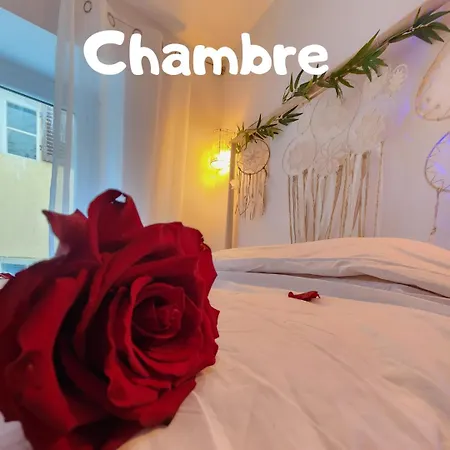 Apartament Zen - Havre De Paix